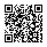 女子涉交通意外頂包司機被捕