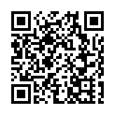 白俄迫降客機陷羅生門 歐美譴責「等同劫機」俄反唇相譏