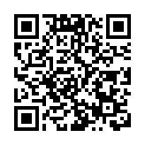 紐約股市30日下跌 美元指數上升