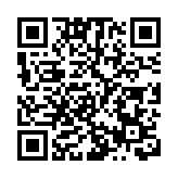 台灣民生之困，能「券」解嗎?