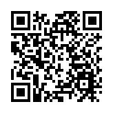 有片｜4幼貓疑乘新加坡貨機「偷渡」來港 漁護署：檢疫後會安排領養