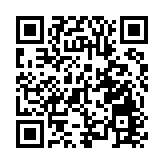 各界讚資格審查工作高效  候選人背景各異證非「清一色」