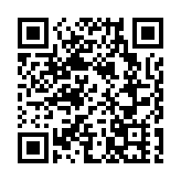 花與工業共長 廣西柳州近30萬株洋紫荊迎最美花期