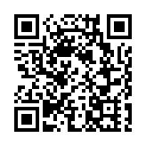 涉藏13支仿製槍械 警長沙灣拘捕一男子