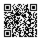 香港海關檢300萬元冒牌貨物 拘一男司機