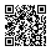 美國飛行比賽現場一飛機墜毀瞬間燒成巨大火球