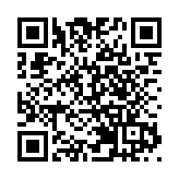 逾22000名市民參與「國際藝采」 歡度愉快假日