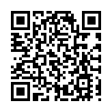 麥美娟：青年工作要具長期性及持續性