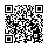 瀋陽文化城裏的年味|「花樣」服務 文化惠民