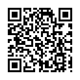 法國總統馬克龍會見王毅