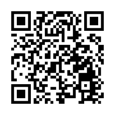 王毅：中國將發布《全球安全倡議概念文件》