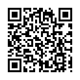 美國波士頓兩架客機發生碰撞