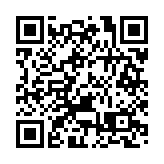 RCEP賦能 北部灣港貨物集聚效應持續凸顯