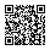 桂百色芒果開採上市