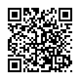 韶關新豐鷹嘴桃成熟上市