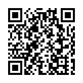 純電小巴及巴士下半年面世