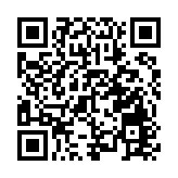 桂黑滇三省區探沿邊自貿試驗區協同發展新模式