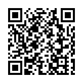 濰坊「風箏課堂」 走進德國