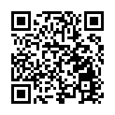 世界製造業大會「包河智造」星光閃耀