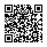 皖歙縣上豐：「燈籠柿」成「金果子」