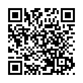 聯合國一架飛機在索馬里被「青年黨」劫持