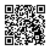 OpenAI尋求美國政府對其晶片項目的支持