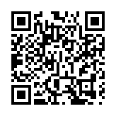 王毅在廣西調研邊境口岸建設情況