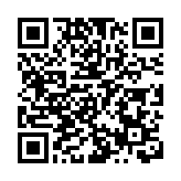 東莞澳門青年打卡「籃球城市」 體育搭建友誼之橋