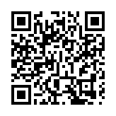 第33屆阿盟峰會呼籲實現「兩國方案」