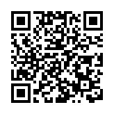 自動車牌識別系統建功 警方拘一男涉車內藏毒