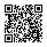 「荔枝之鄉」茂名：產業振興引領新篇章