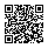 2024歐洲盃在即 中國駐德使館提醒中國公民注意德國邊境管控措施