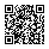 有片丨深中通道首日 大家踴躍嘗鮮   深圳入口現車龍