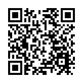 男子因毆打丹麥首相獲刑4個月