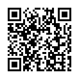 德國音樂節上一摩天輪失火致23人傷