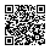 政府委任第三代互聯網發展專責小組委員