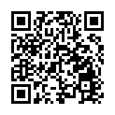 德國恢復所有陸地邊界管控措施 一度造成邊境道路擁堵