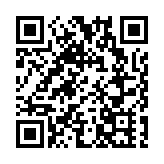 你好，大灣區！