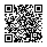 中國—東盟跨境公路班車物流聯盟成立