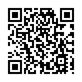 又一架美國客機降海地遭槍擊 美航企暫停飛