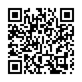 桂百色着力提升開放平台能級促進外向型經濟加快發展