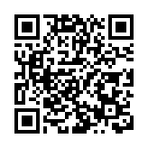 外交主題記者會丨王毅：臨近邊界的緬北地區電詐園區已全部清除