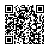 中國誠通增持中國股票資產