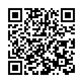 法國跨年夜近千輛汽車被燒