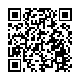 廣西大力推動跨境綜合服務能力建設