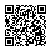 粵港澳大灣區跨境消費「熱辣滾燙」