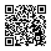 甘肅成縣：年味市集熱鬧開市