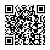 美國費城小型飛機墜毀事件已致7死19傷