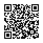 捷克前總理巴比什在競選活動中遇襲 