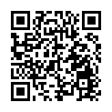 山東晨鳴紙業集團股份有限公司2025年第三季度報告